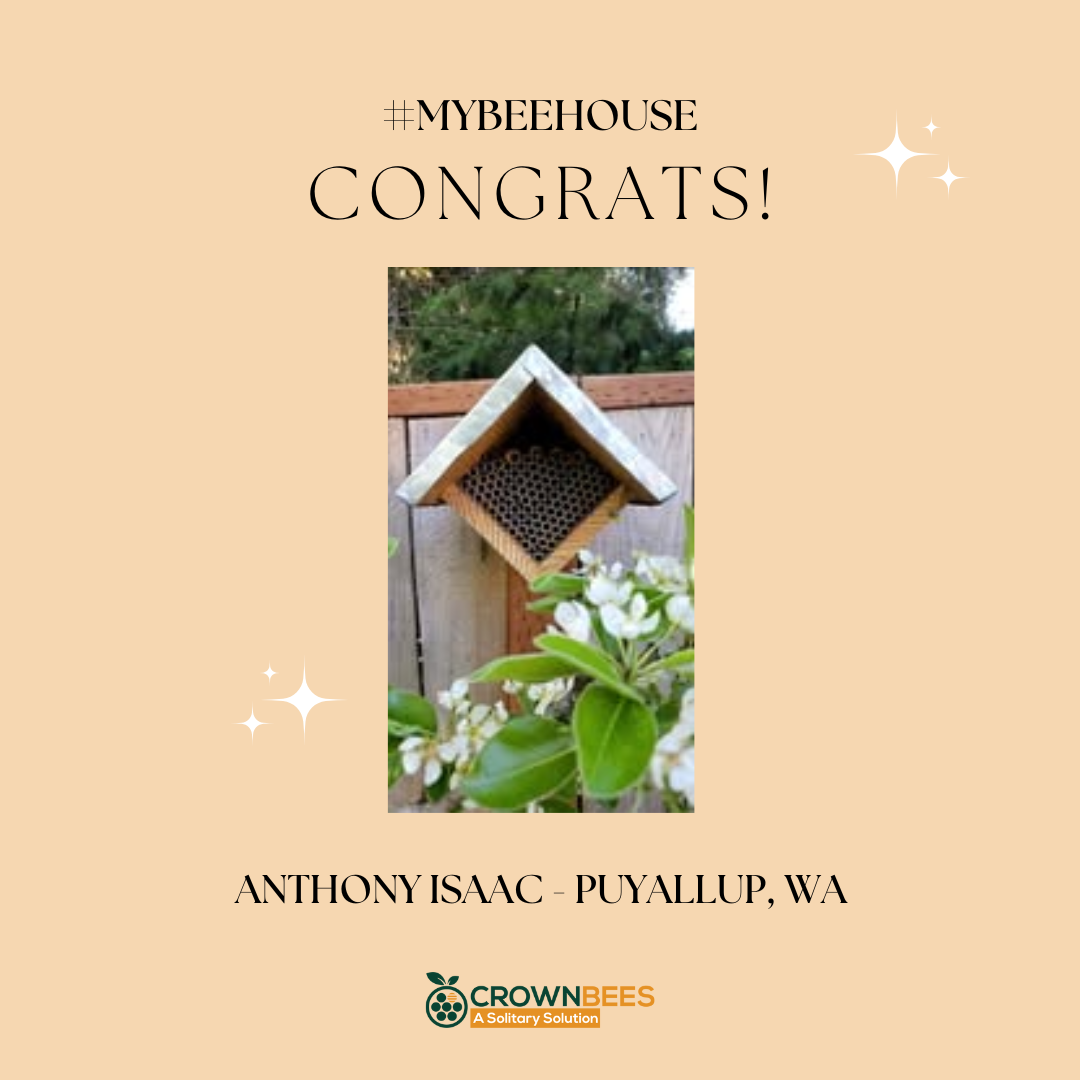 Congrats to Our First #MyBeeHouse Winner!