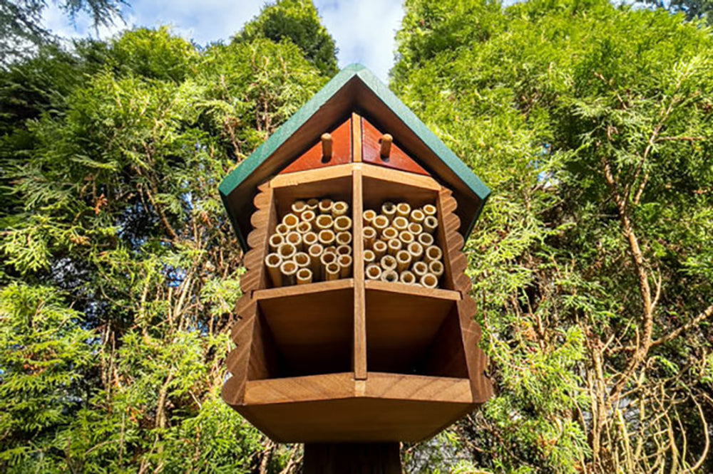 Our Newest Air Bee N' Bee Listing: Cabin Fever