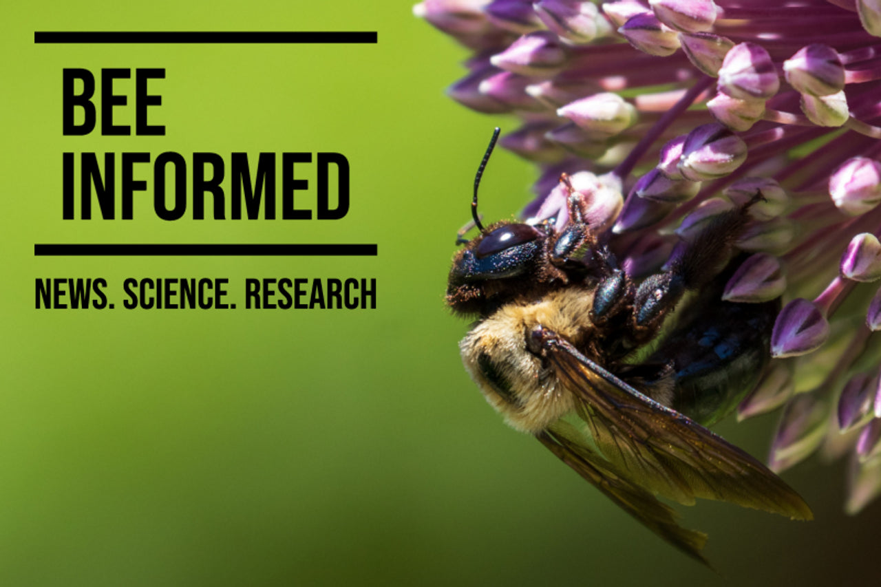 Bee Informed: Native Plants for Restoration, Caffeine Helps Bees Learn to Find Flowers, and Monarch Butterfly Declared Endangered