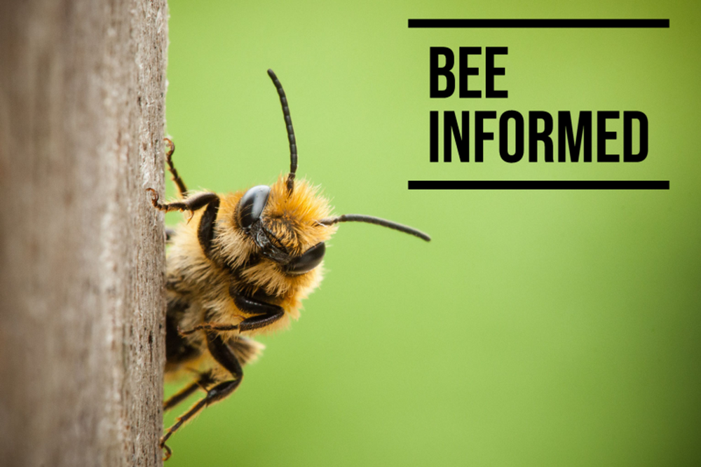 Bee Informed: Another Win for Pollinators, Air Pollution Impairs Bees Ability to Smell Flowers, and To Plant or To Let it Grow