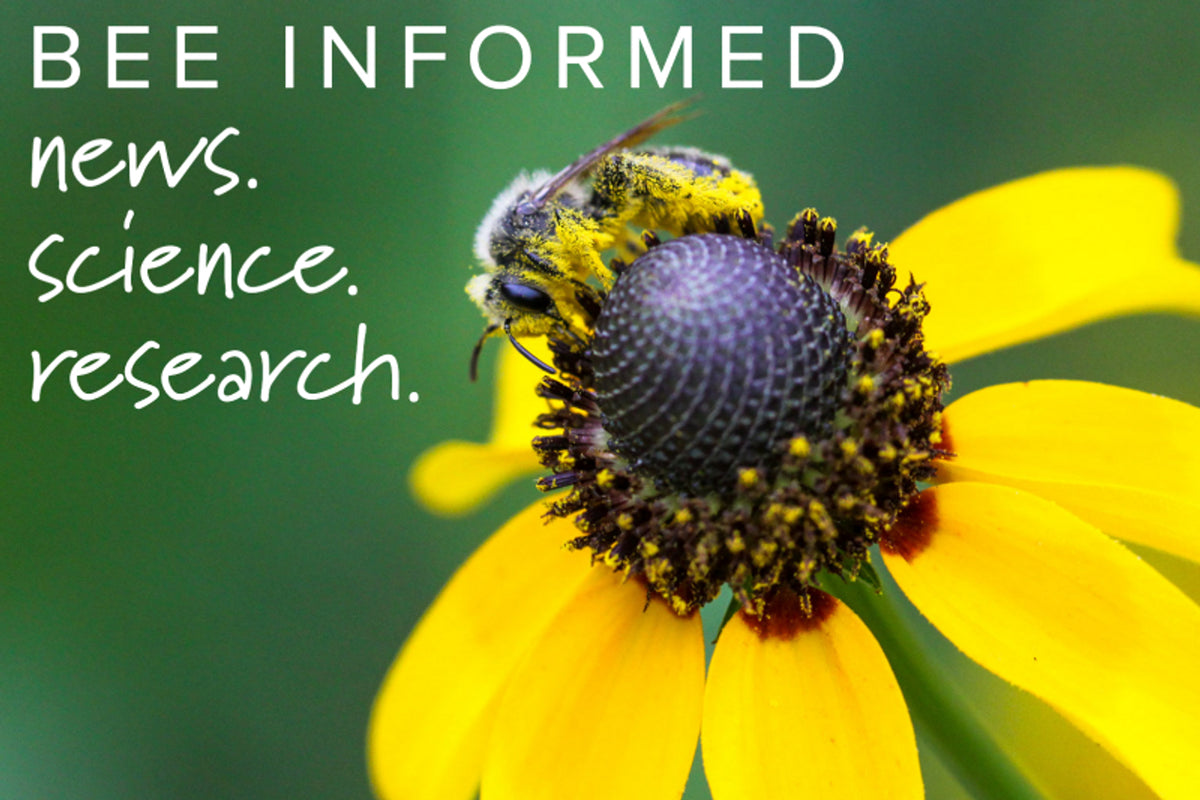 Bee Informed: Celebrate Earth Day with a Bee Walk, Squash Bees are Spr