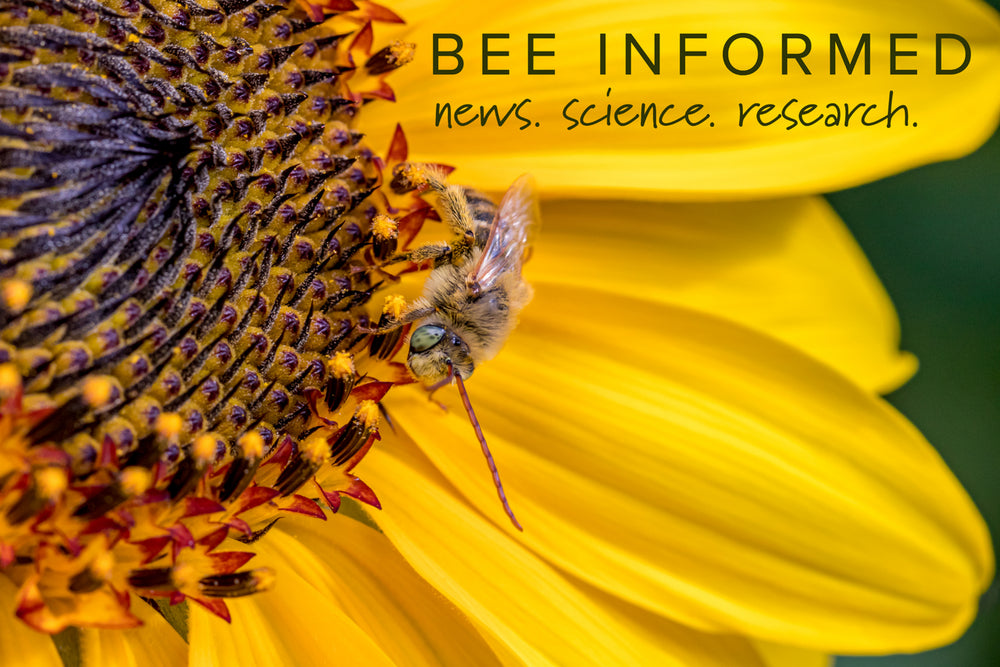 The love buzz: Bumblebee survey project turns people into insect