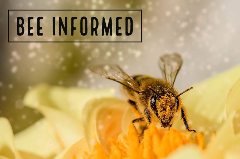 Bee Informed: Flexible Pollination, Eusociality of Bumble Bees, Mushroom Hives
