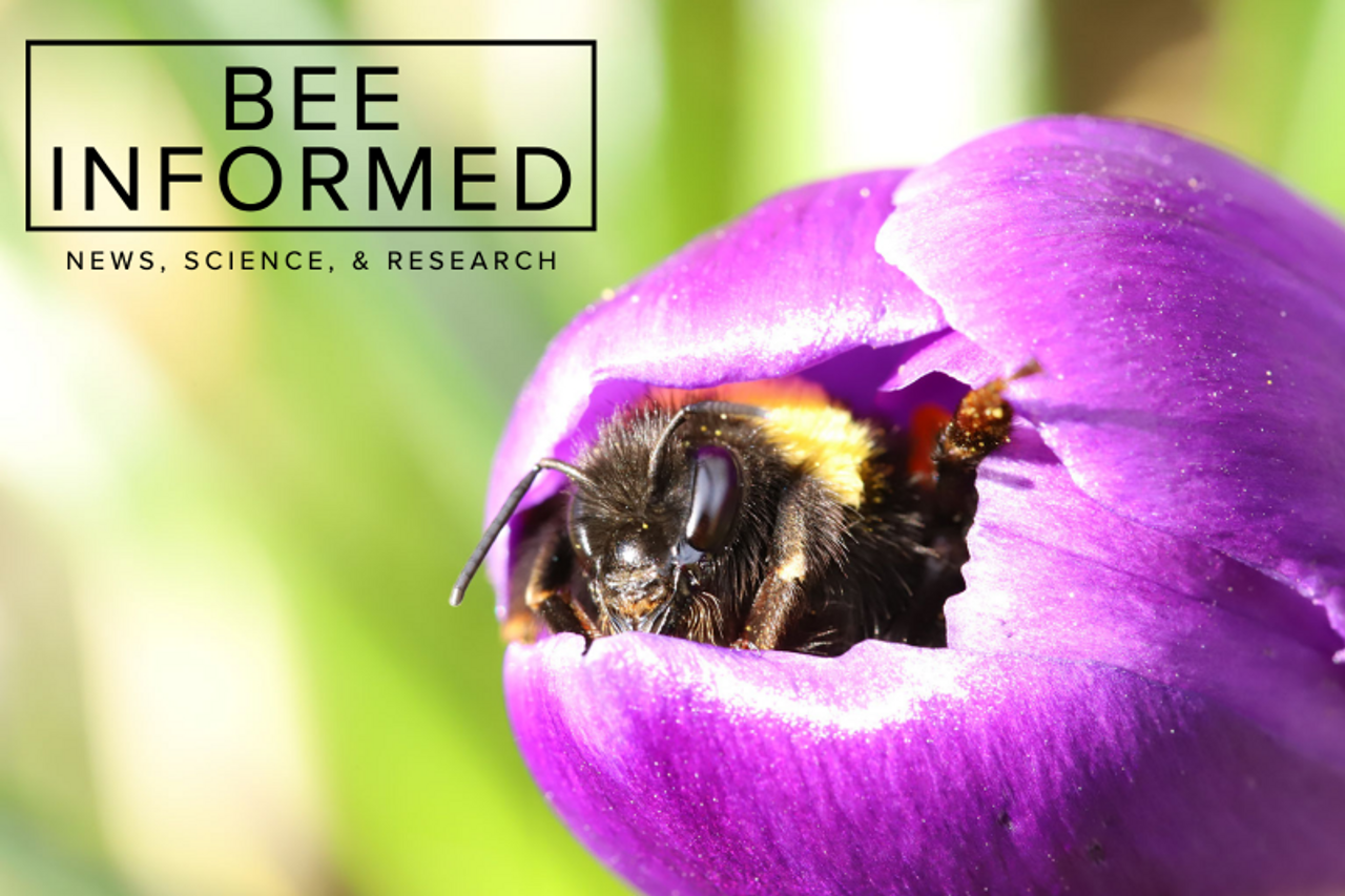 Bee Informed: Beenome 100 Project, My Garden of a Thousand Bees, and C