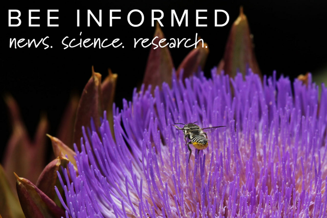 Bee Informed: 5 Educational Videos Highlighting the Importance of Bees