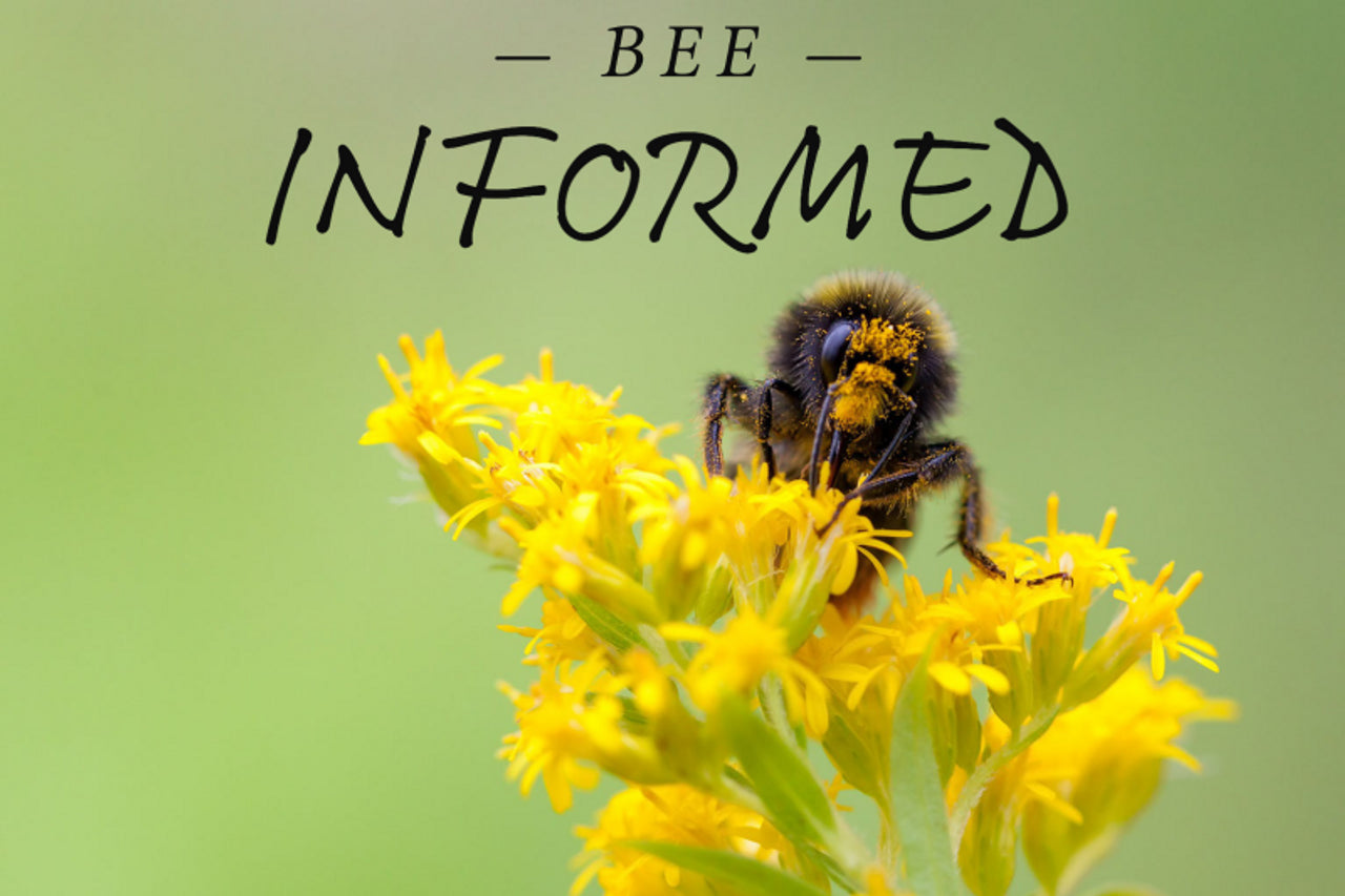 Bee Informed: Bee-Free Honey, "Save the Bees", and A Glimmer of Hope