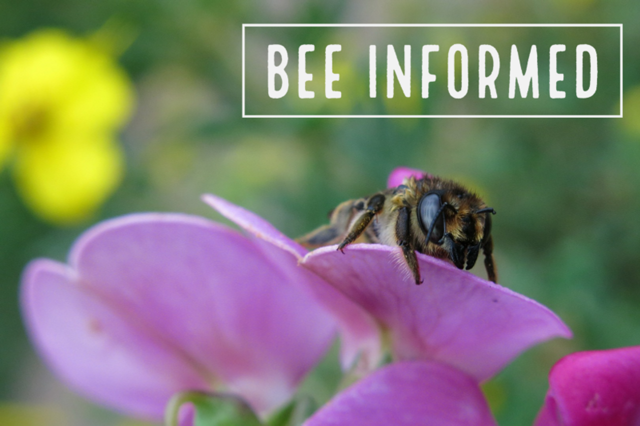 Bee Informed: Helping Trees (and Bees), Neonics Harm Bees, New Bee Law