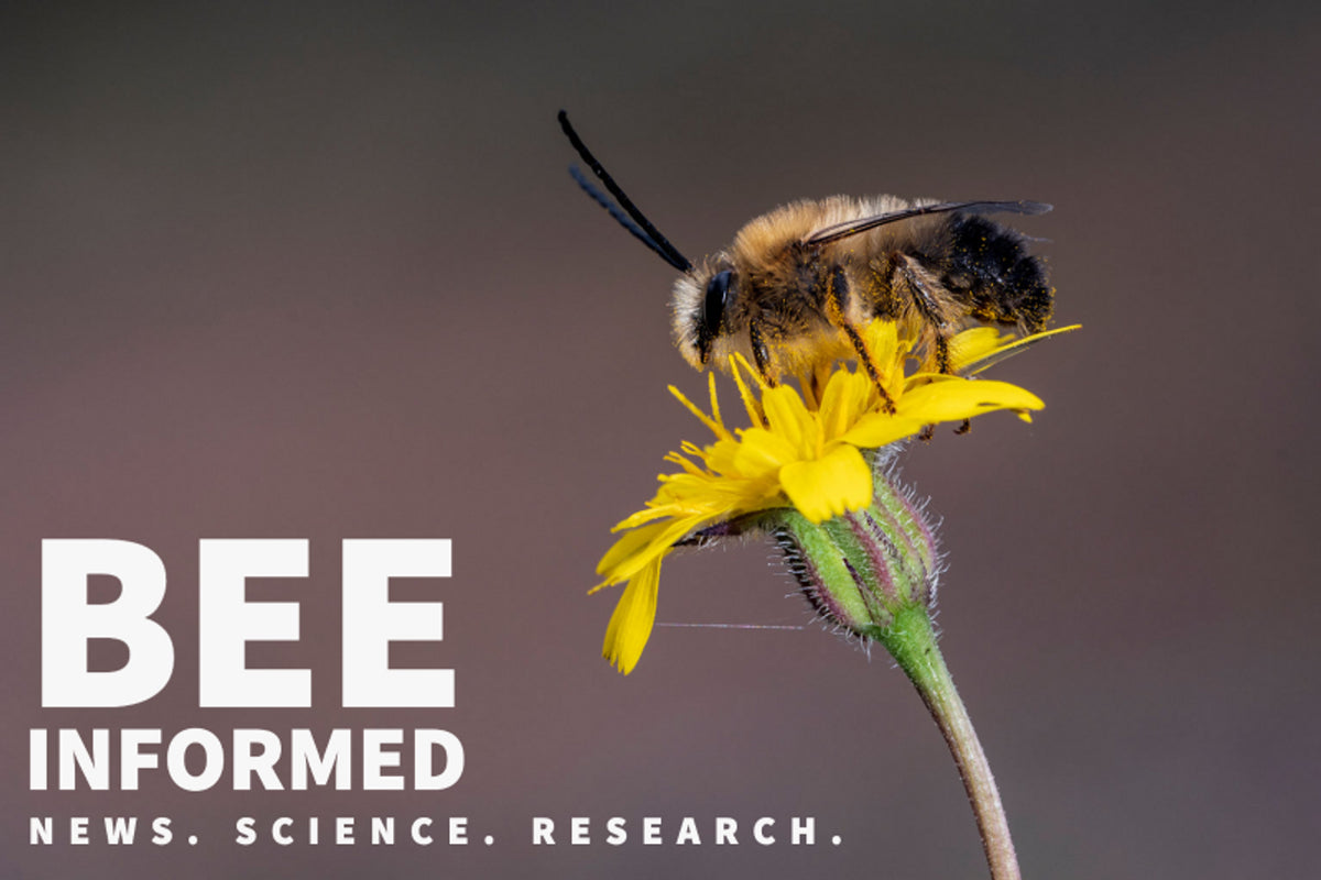 Bee Informed: The 
