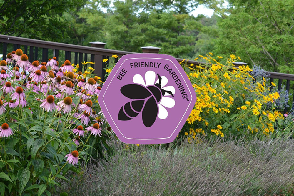 Introducing Bee Friendly Gardening