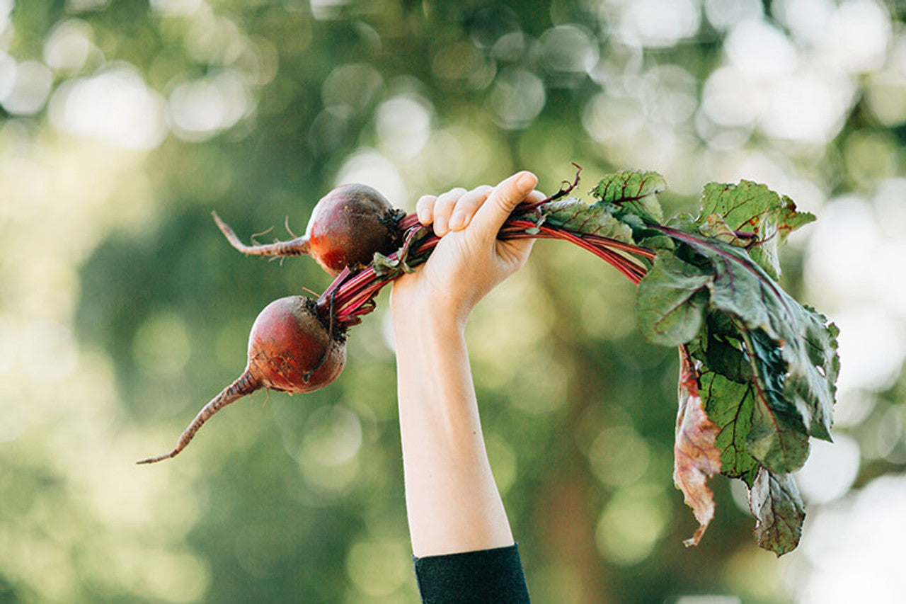 Easy Ways to Start a Victory Garden