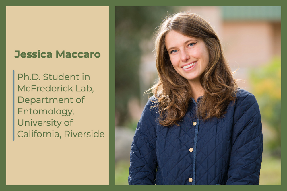 Researcher Highlight: Jessica Maccaro