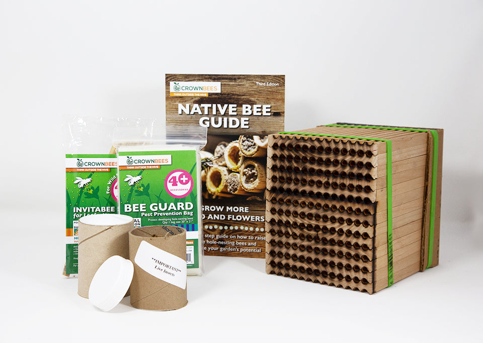Summer 156-cavity Wood Tray and 400 leafcutter bees