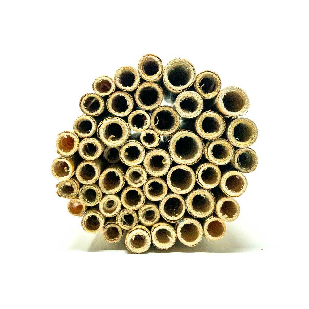 US Brass Tubes 6mm