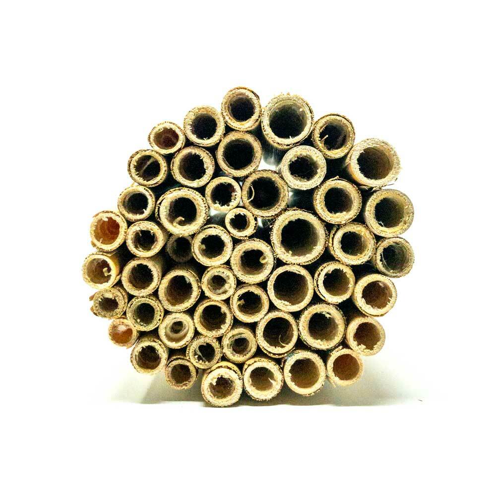 
                  
                    Summer Natural Reeds for Leafcutter Bees - 6mm
                  
                