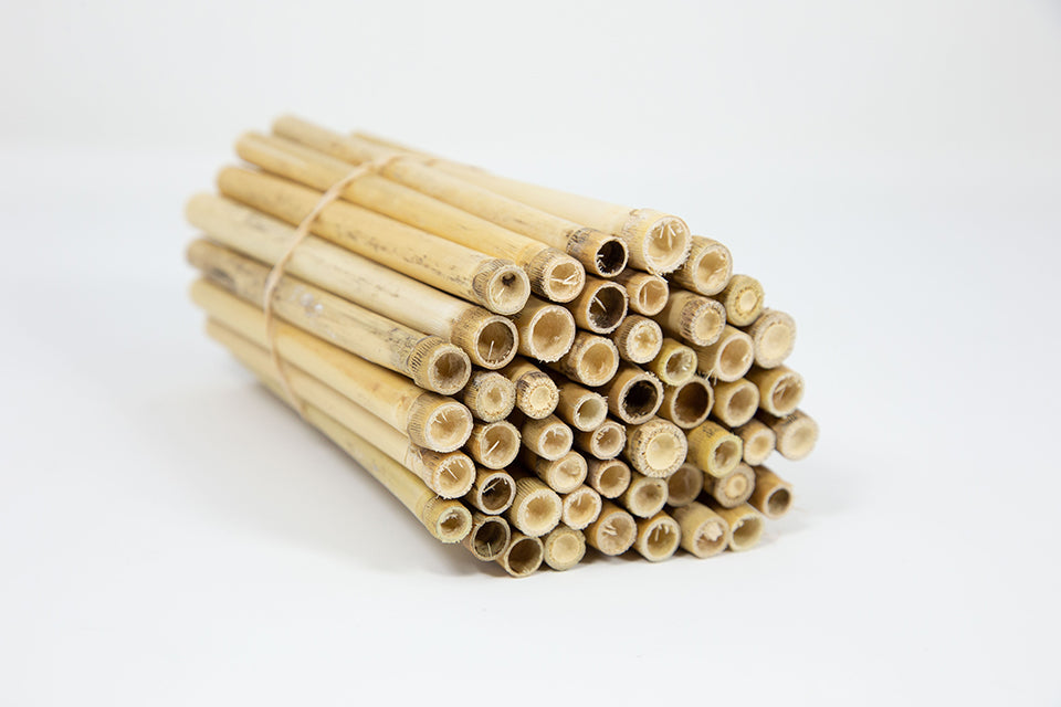 Natural Reeds for Mason Bees | Nesting Materials for Bee Houses