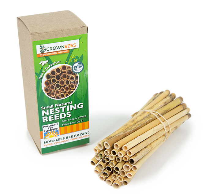 Bee Reed Splitter Natural Reeds for Leafcutter Bees | Nesting Materials for Bee Houses