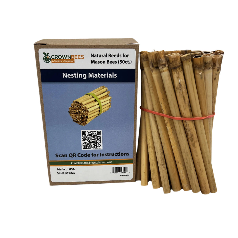 
                  
                    Spring Natural Reeds for Mason Bees - 8mm
                  
                