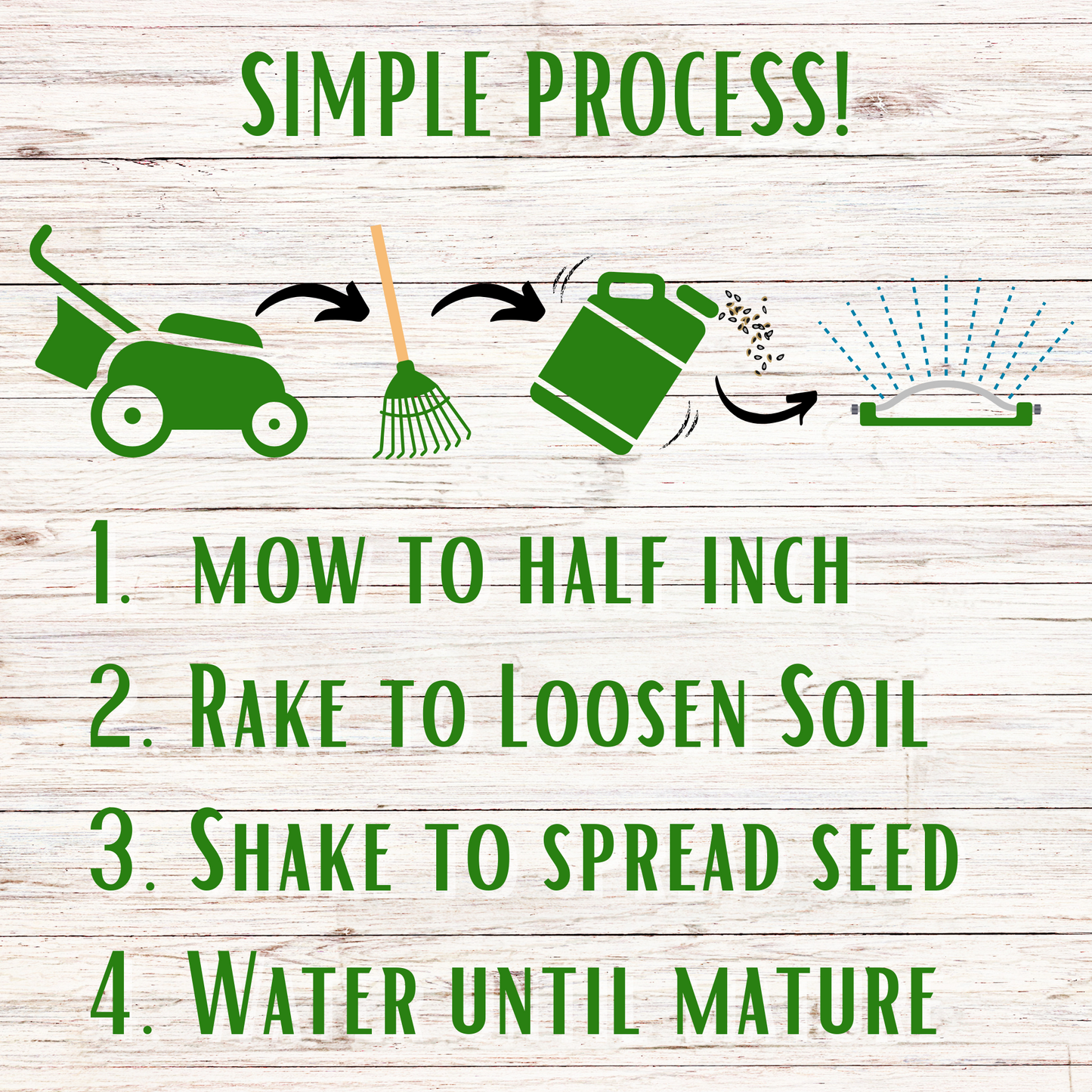 
                  
                    Speedy Bee Lawn Seed Kit
                  
                