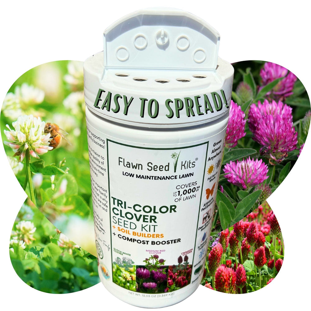 clover wildflower seed mix Tri-Color Clover Seed Easy Spread Shaker