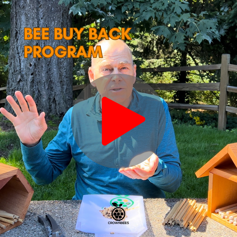 Bee Buy Back Program