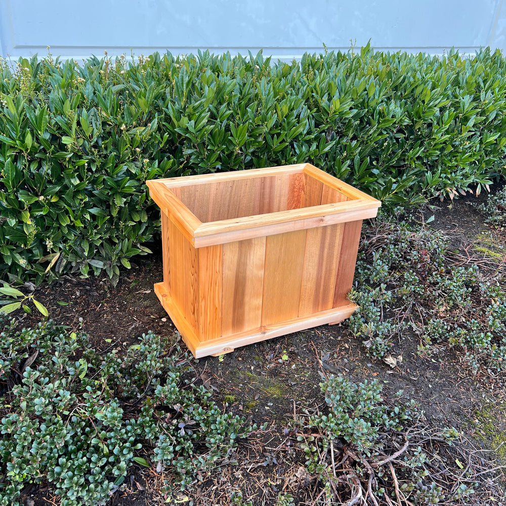 
                  
                    Botanical Bliss Cedar Planter
                  
                