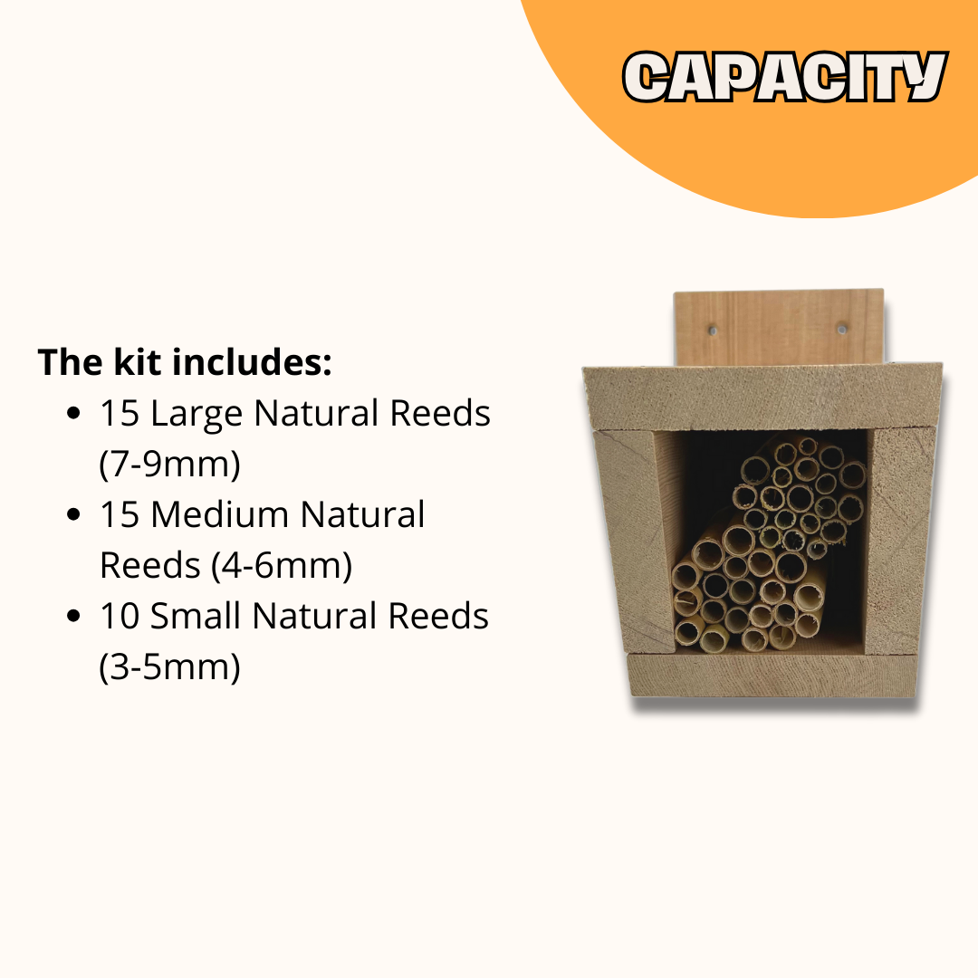 
                  
                    Build-A-Bee House with Wild Bee Pollinator Pack
                  
                