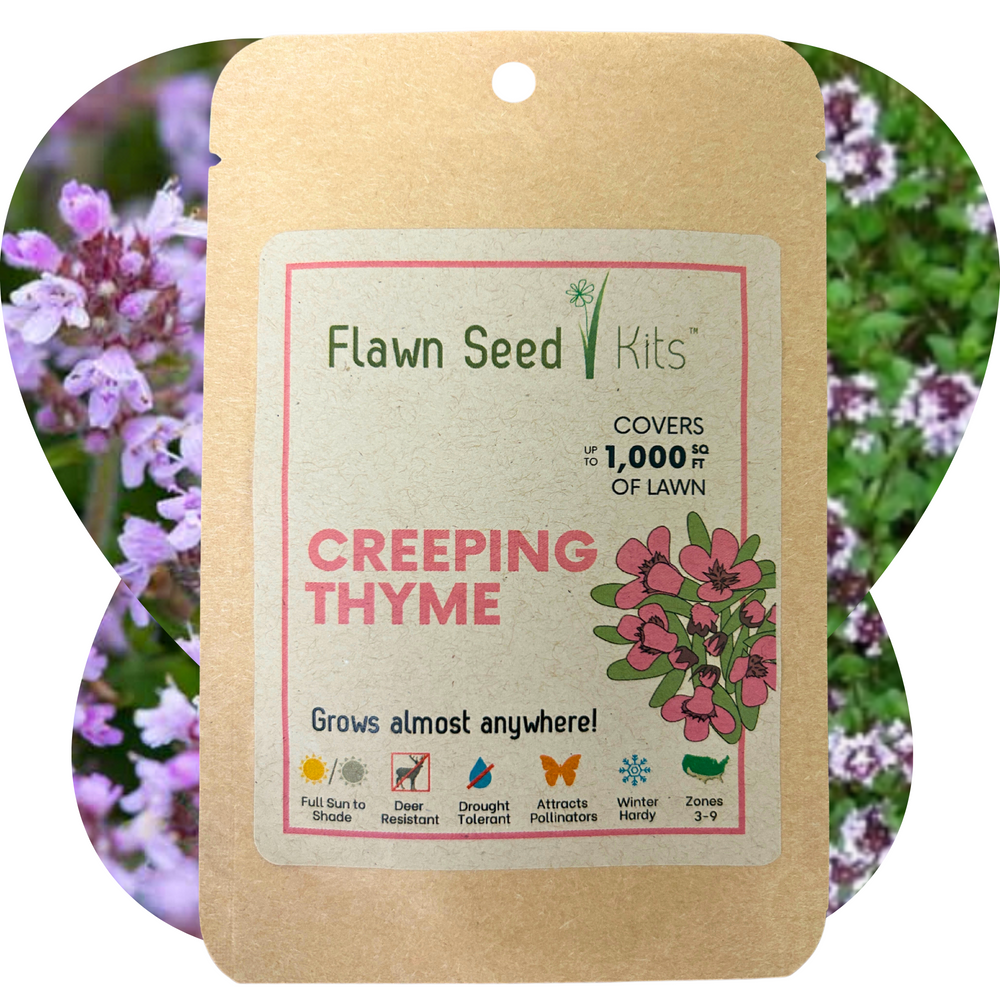 plant creeping thyme seeds in fall Creeping Thyme Seed Pouch