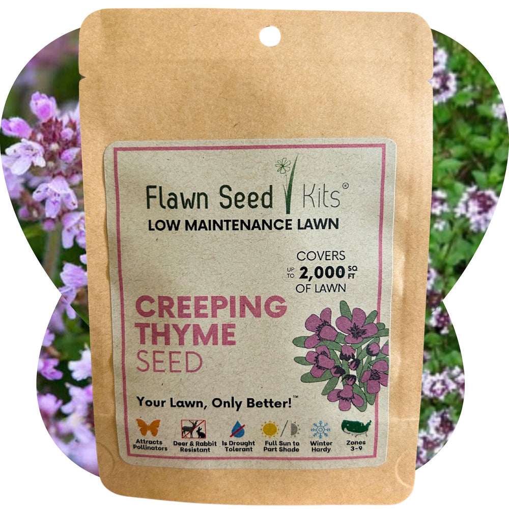 
                  
                    Creeping Thyme Seed Pouch
                  
                