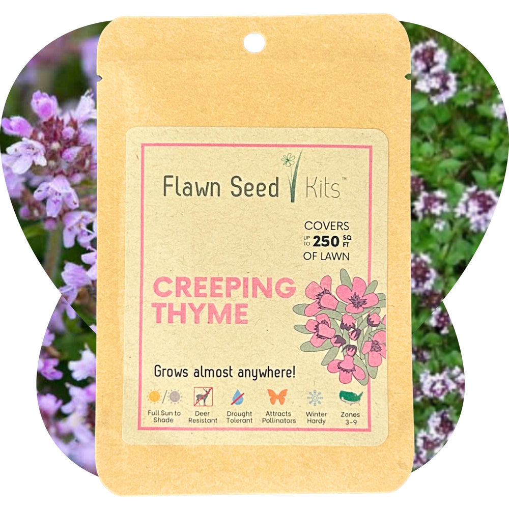 planting thyme seeds Creeping Thyme Seed Pouch
