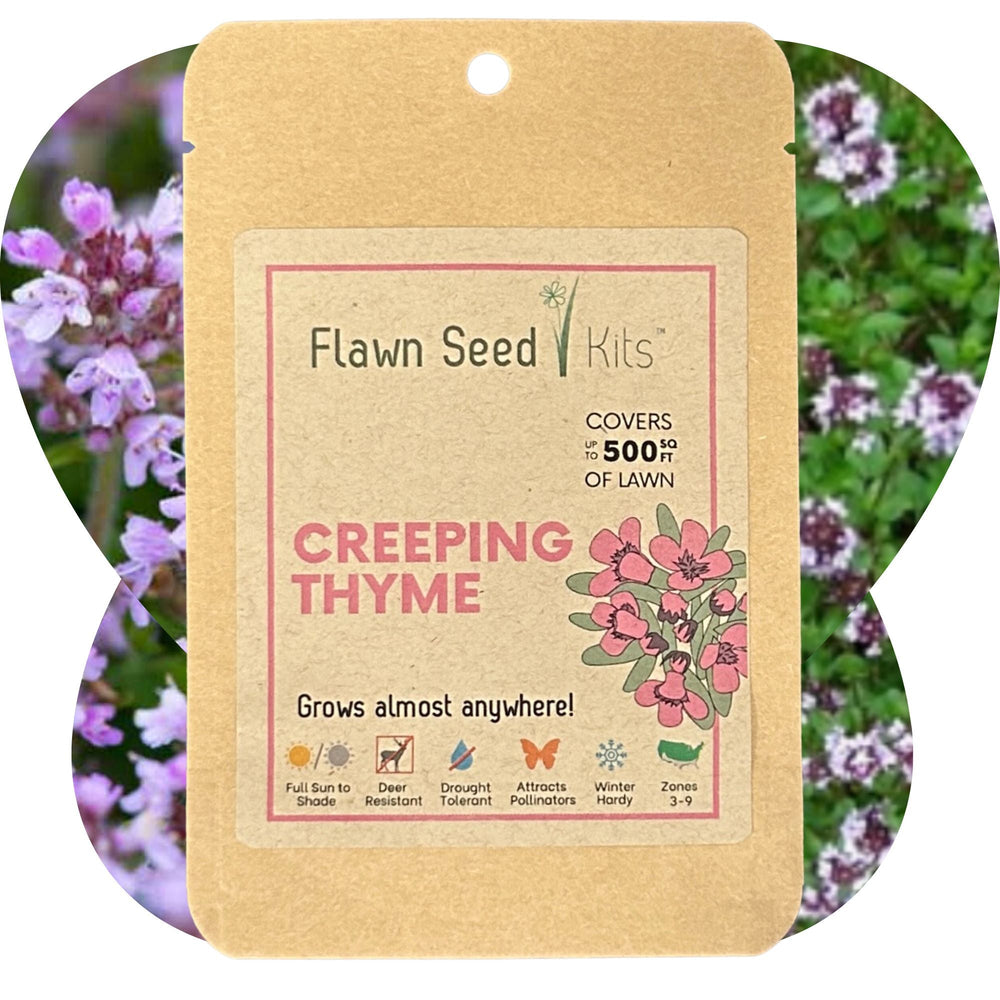 creeping thyme seeds or plants Creeping Thyme Seed Pouch