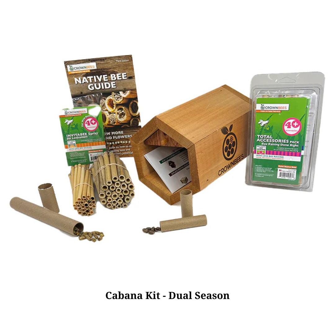 Dual Season Mason and Summer Leaf Cabana Kit with Bees