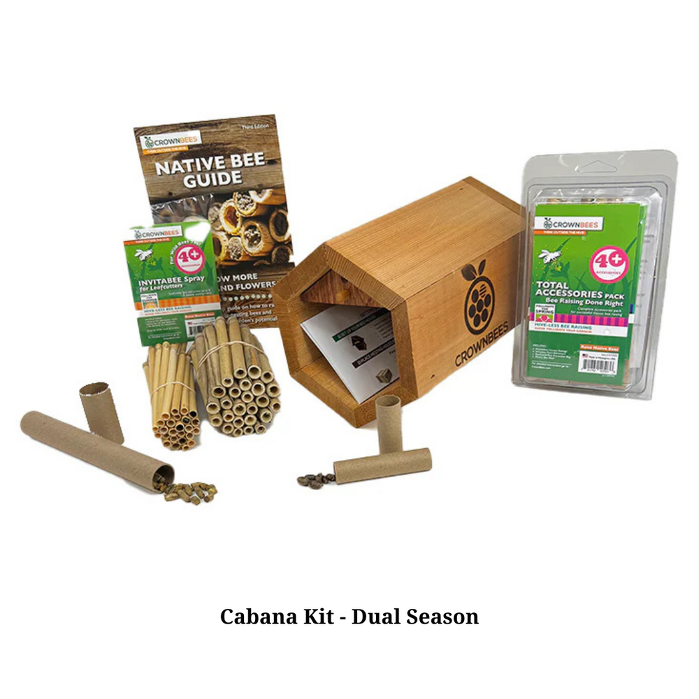 
                  
                    Cabana Bee House Kit with Bees
                  
                