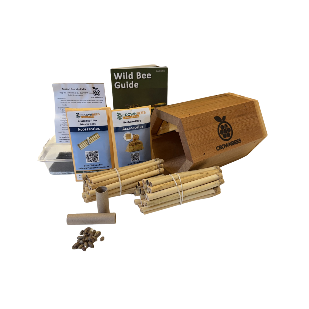 Cabana Bee House Kit with Bees