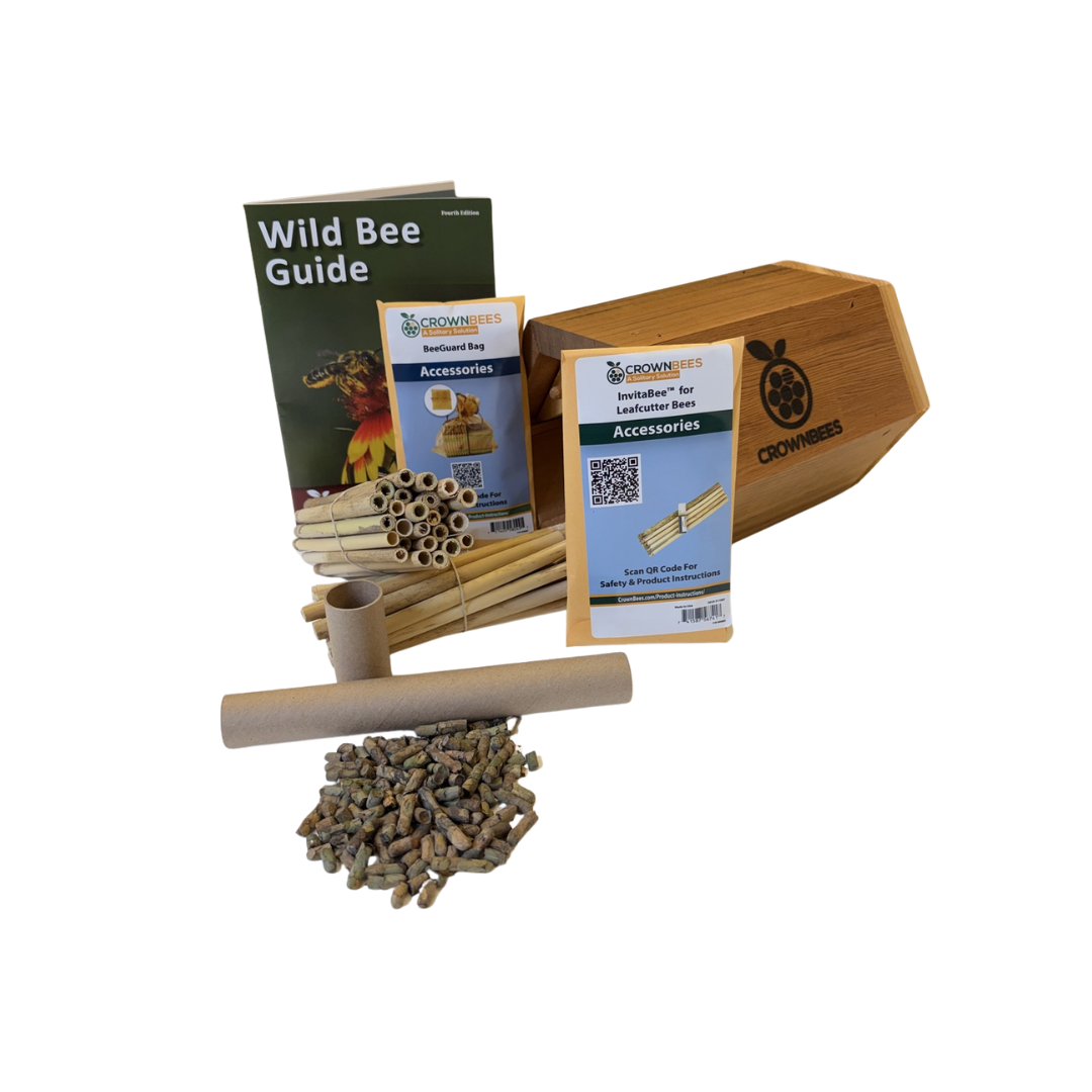 Cabana Bee House Kit with Bees