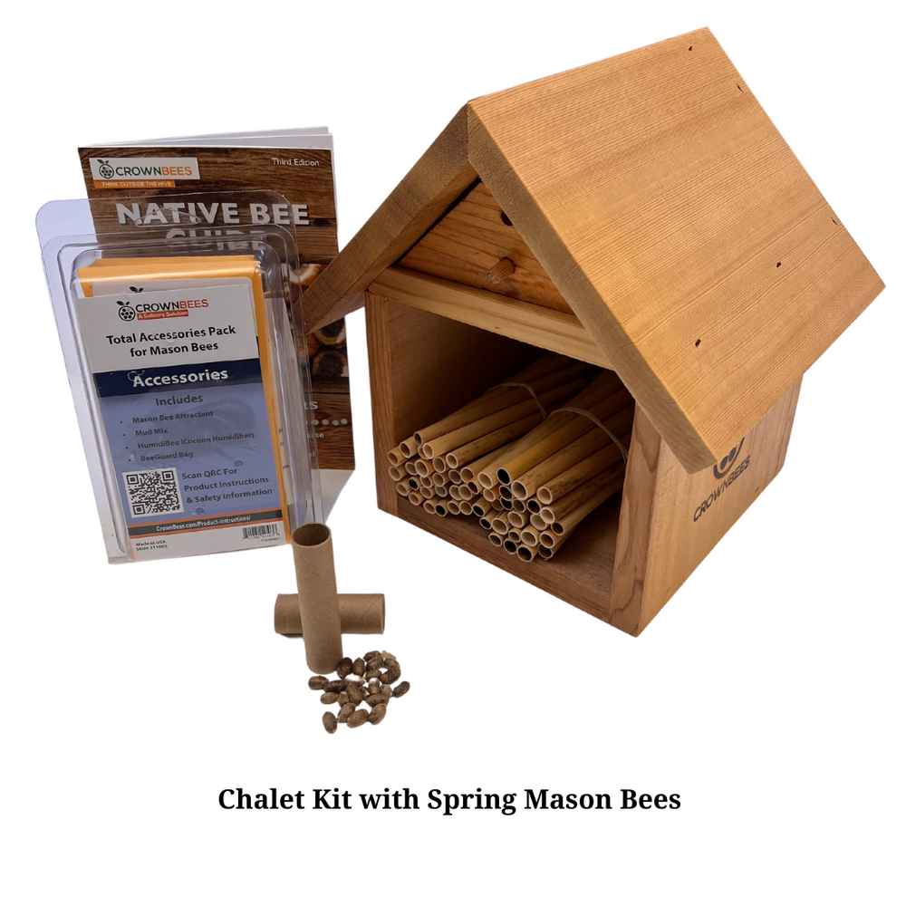 Chalet Bee House Kit with Bees