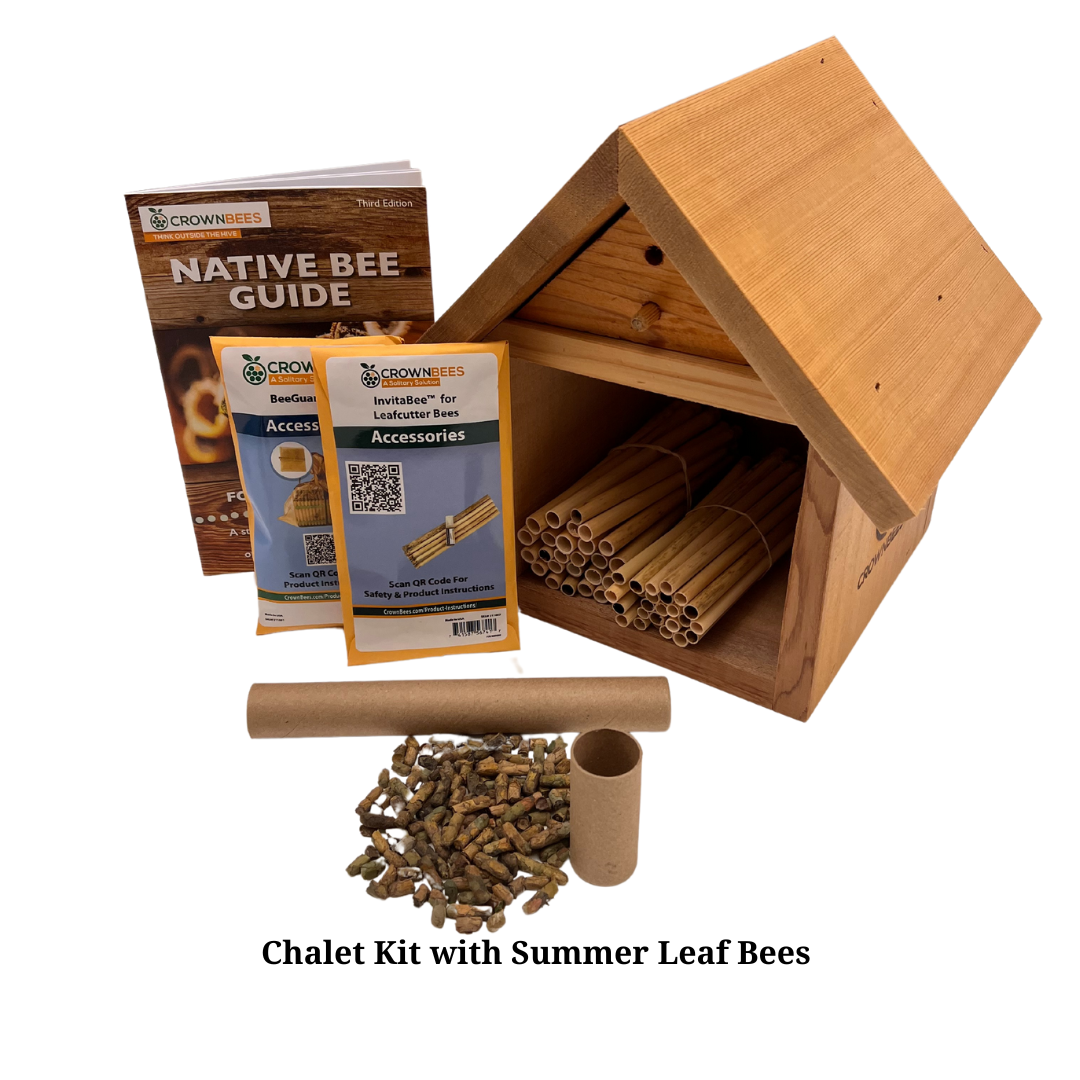 
                  
                    Chalet Bee House Kit with Bees
                  
                