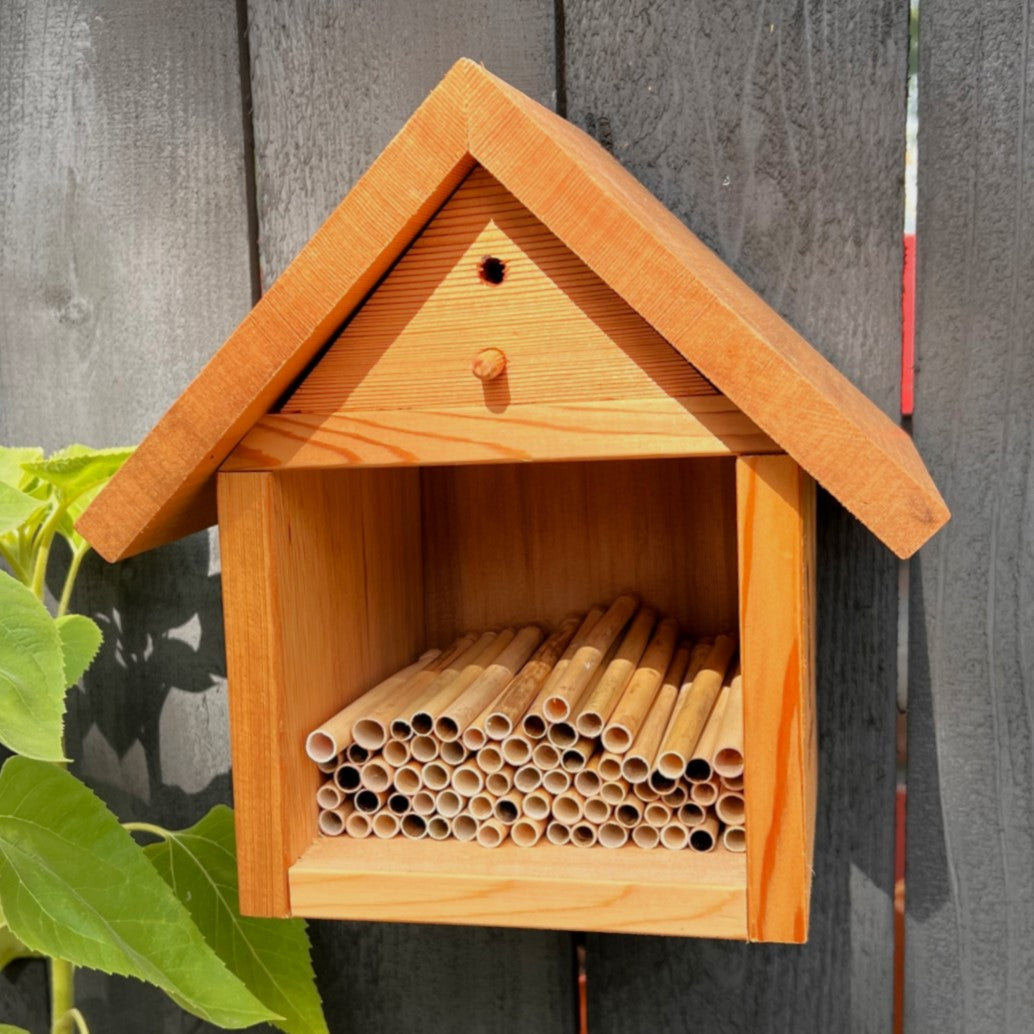 Wild Bee Discovery Chalet House & Pollinator Pack