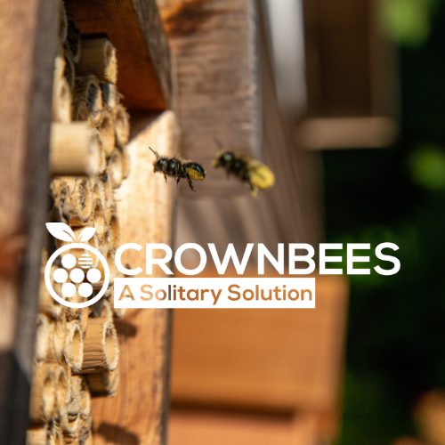 Bees Shp Where the Wild Bees Are