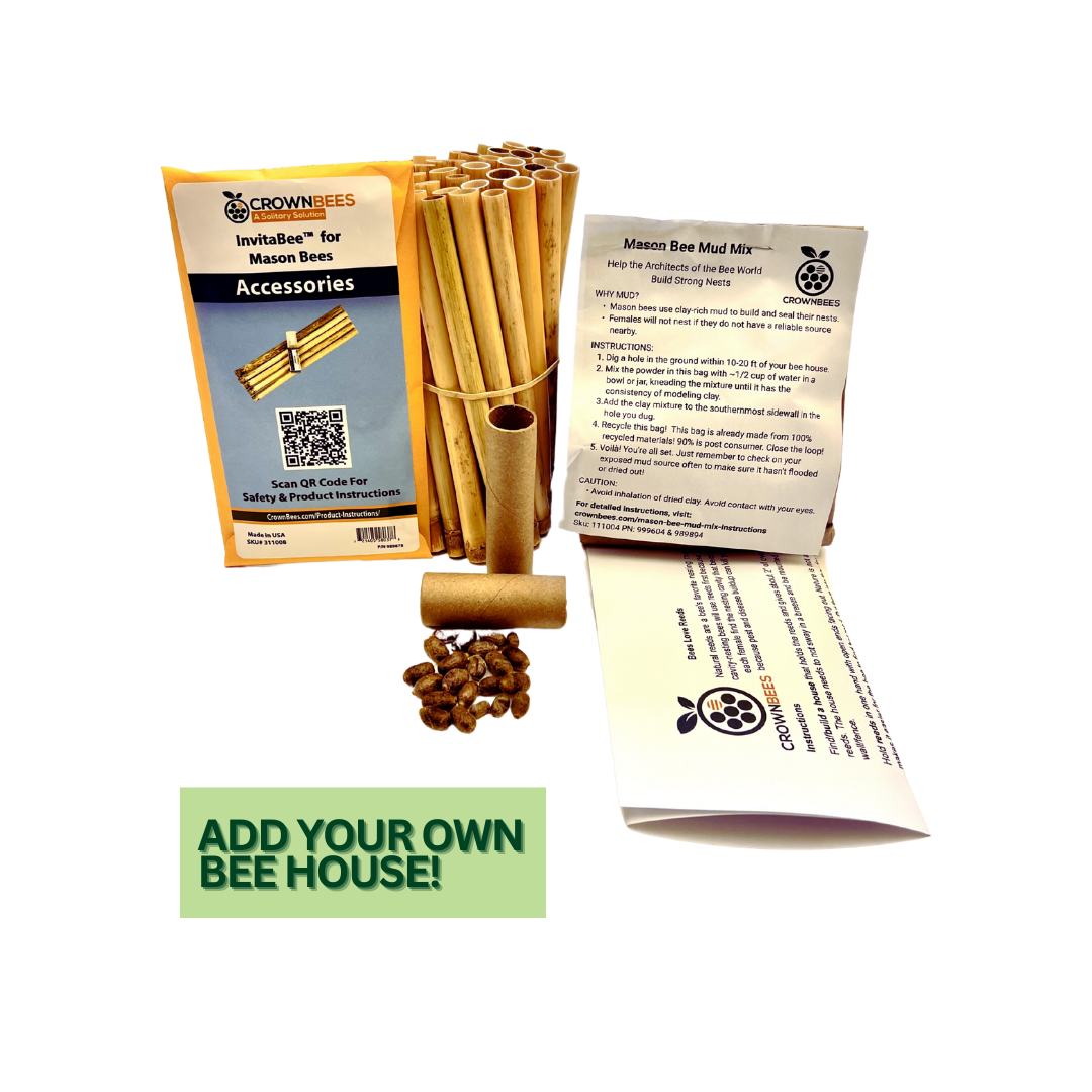 Bare Bones Starter Kit