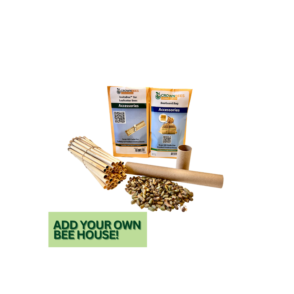 Bare Bones Starter Kit - Summer Leaf Bees