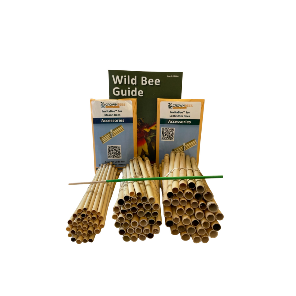 DIY Wild Bee Pollinator Set