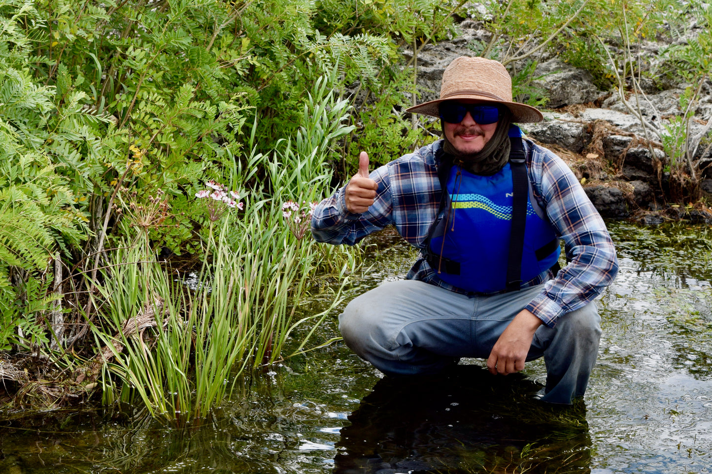 Which seed is right for me?