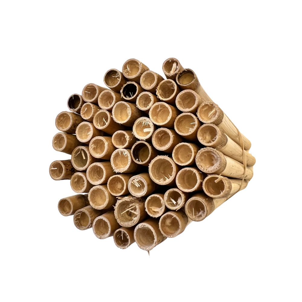 
                  
                    Spring Natural Reeds for Mason Bees - 8mm
                  
                