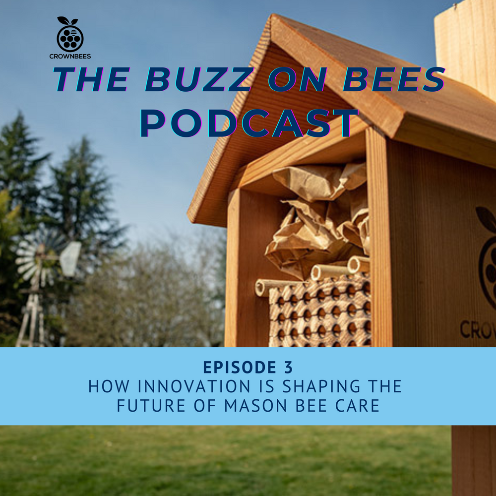 CrownBees