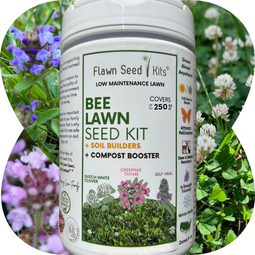 plant seed kits Flawn Seed Kits Bee Lawn Seed Mix