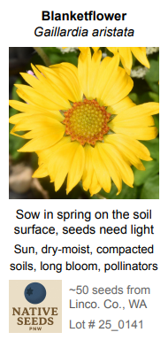 Gaillardia aristata (Blanketflower)