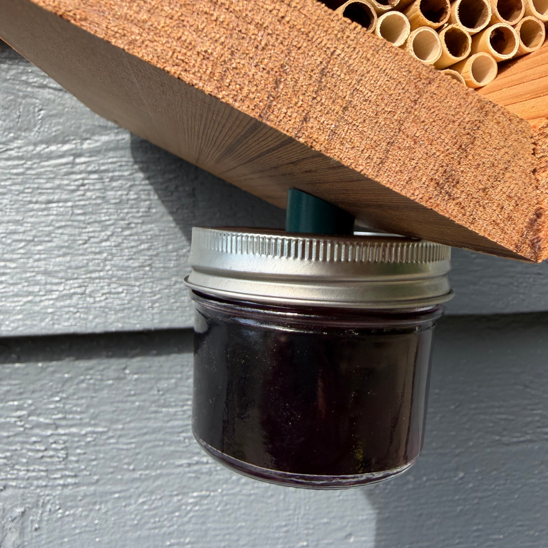
                  
                    Houdini Fly Trap
                  
                