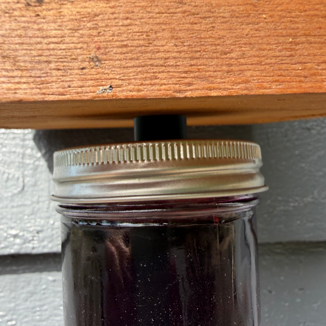 
                  
                    Houdini Fly Trap
                  
                