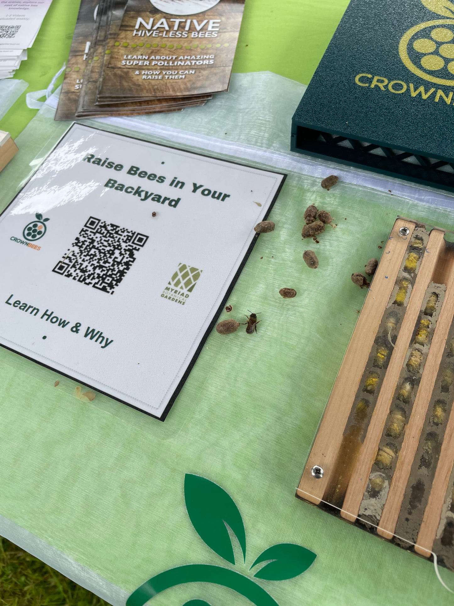 Downloadable Resources