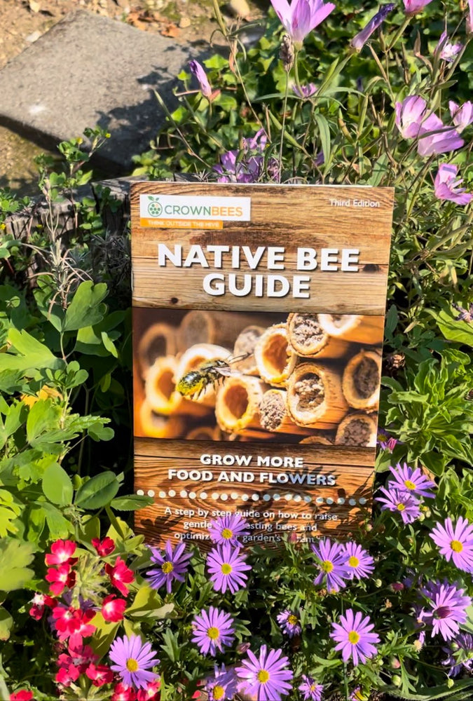 Native Bee Guide, Third Edition